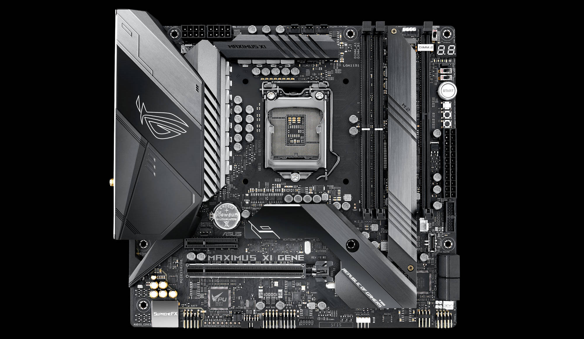 MAXIMUS XI GENE_2D
